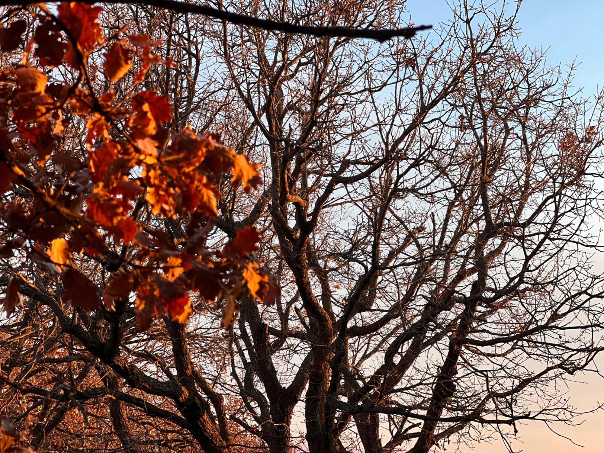 Il Giardino Di Efesto Villa Biancavilla Bagian luar foto